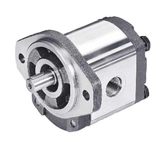 HONOR Group 2 Forklift Pumps