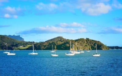 Fuel Filtration for New Zealand Boats & Marine Applications